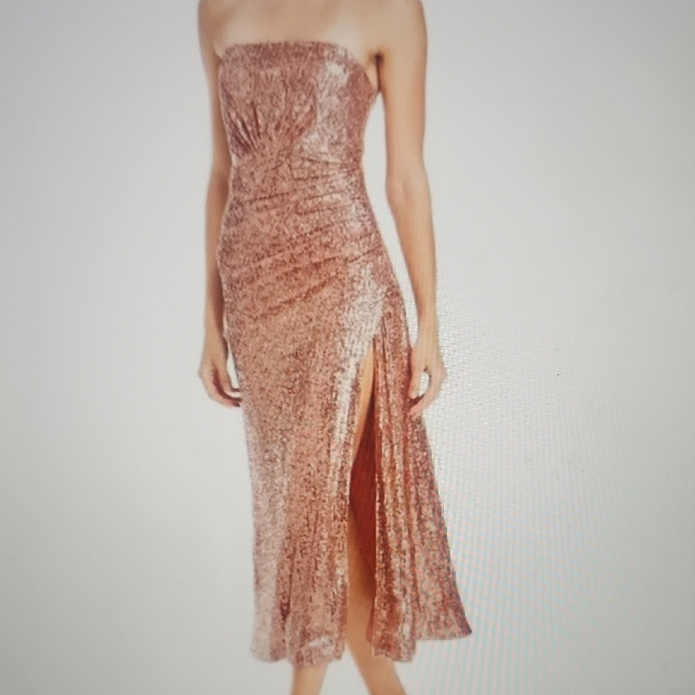 Ramy Brook Exclusive Grace Sequin Strapless Evening Dress Size 10